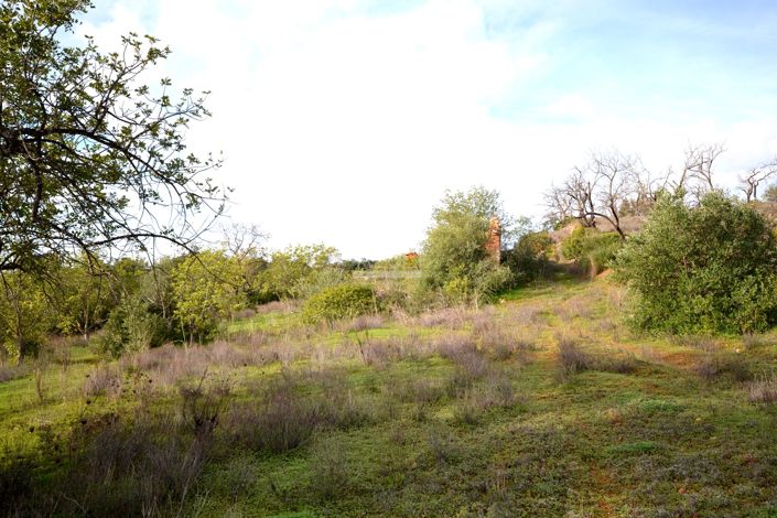 Image No.16-Terrain à vendre à Loule