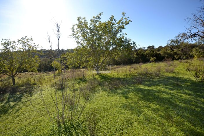 Image No.16-Plot for sale