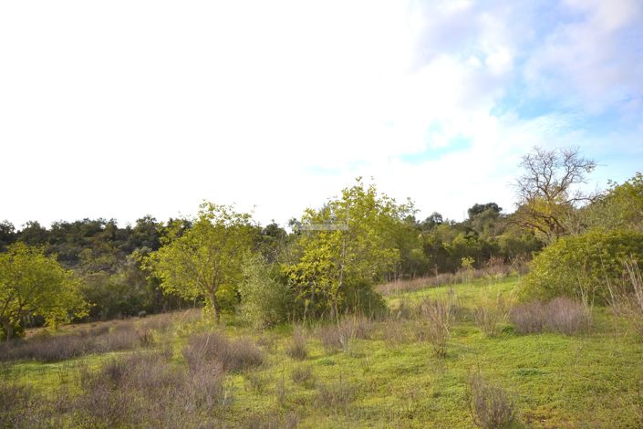 Image No.17-Terrain à vendre à Loule