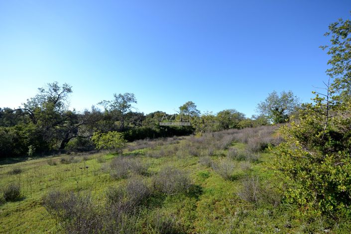 Image No.17-Plot for sale