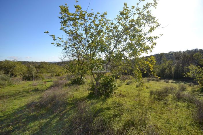 Image No.18-Plot for sale