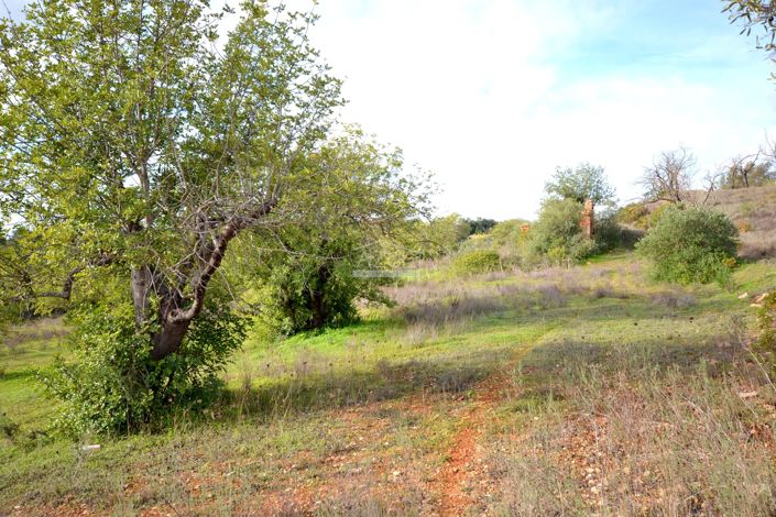 Image No.19-Terrain à vendre à Loule