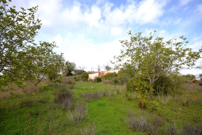 Image No.2-Terrain à vendre à Loule