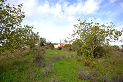 2425-362130-1254606e3c95c5e5ce938638595c7f664