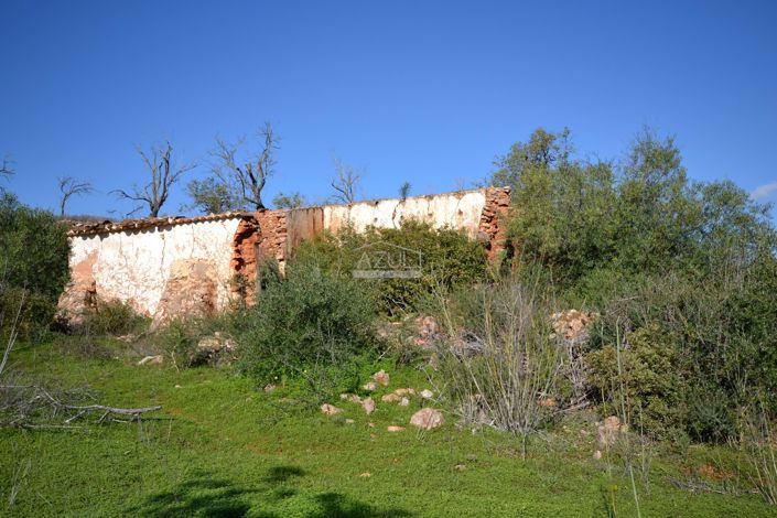 Image No.2-Plot for sale