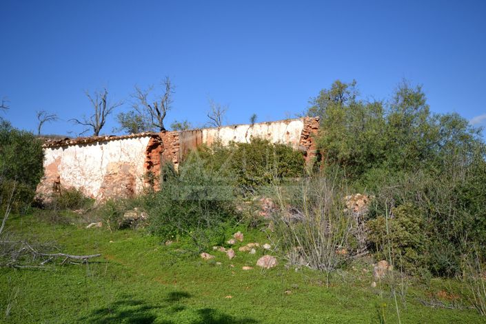 Image No.2-Terrain à vendre à Loule