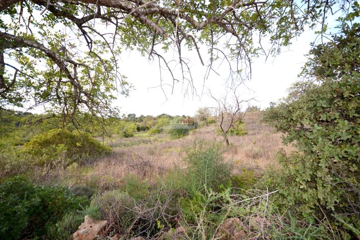 Image No.23-Terrain à vendre à Loule