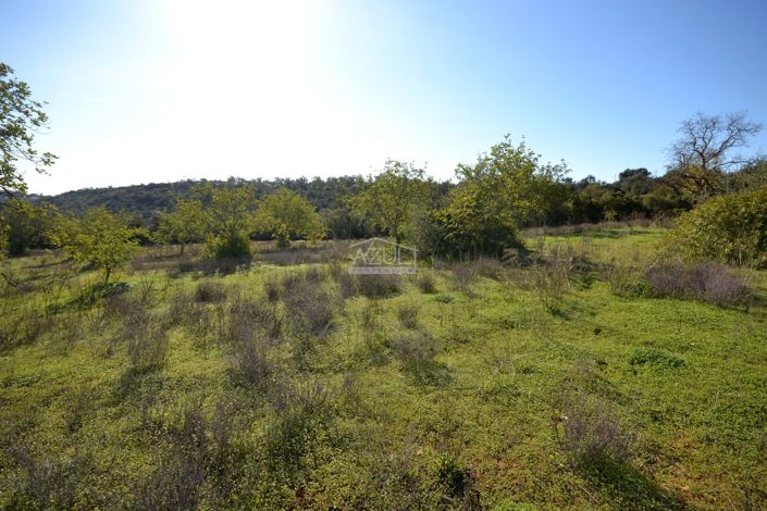 Image No.23-Plot for sale