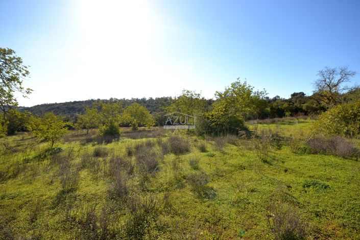 Image No.24-Plot for sale