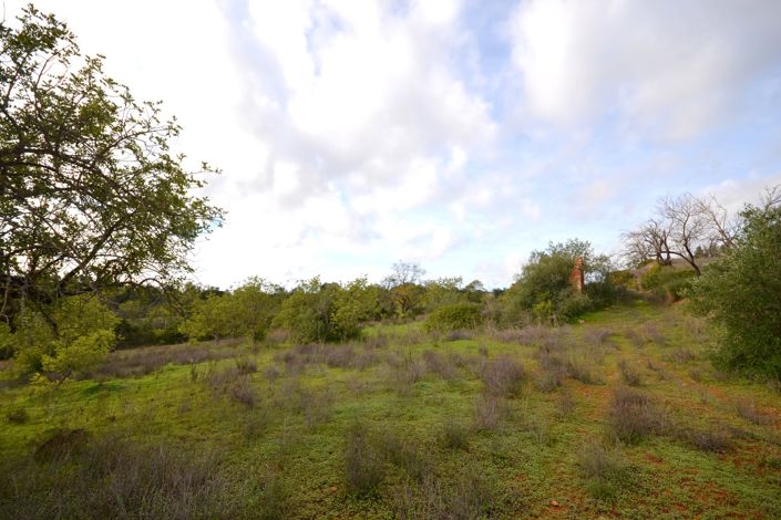 Image No.25-Terrain à vendre à Loule