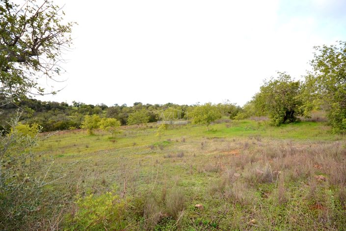 Image No.26-Terrain à vendre à Loule