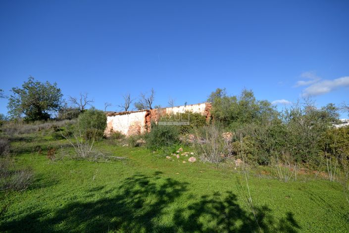 Image No.3-Plot for sale