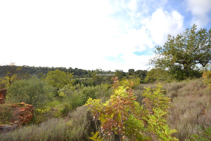 Image No.6-Terrain à vendre à Loule