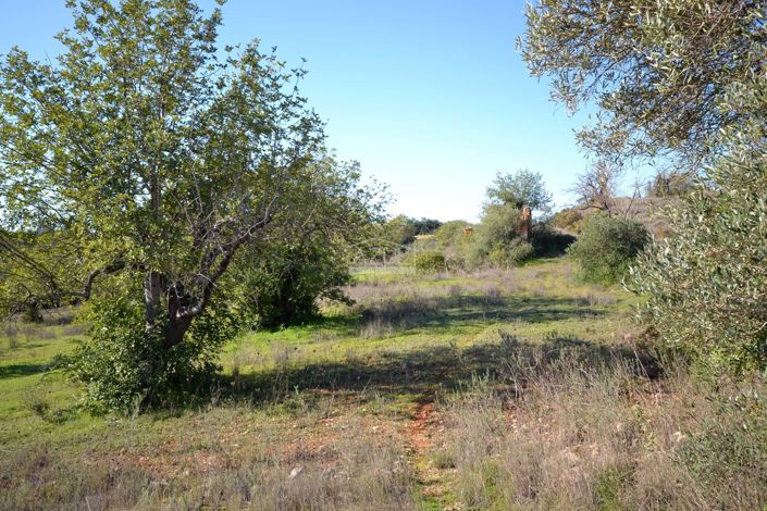 Image No.6-Plot for sale