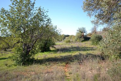 2425-362130-1254606e3c95c5e5ce938638595c7f664