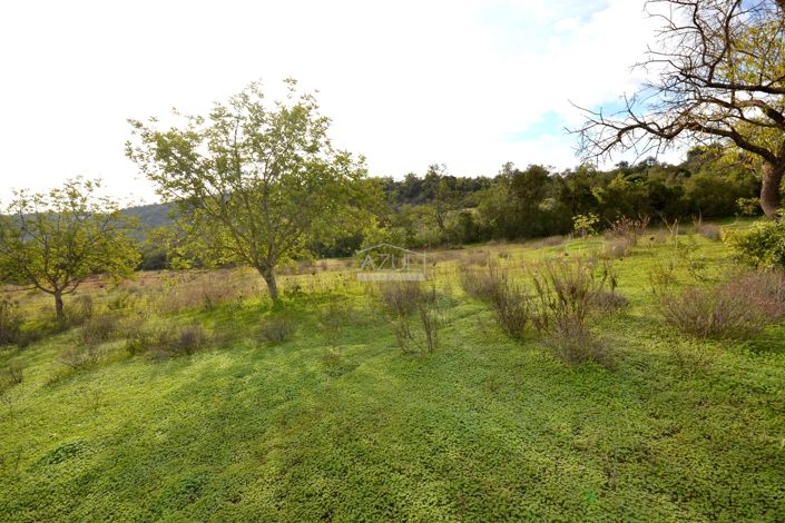 Image No.7-Terrain à vendre à Loule
