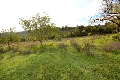 2425-362130-1254606e3c95c5e5ce938638595c7f664