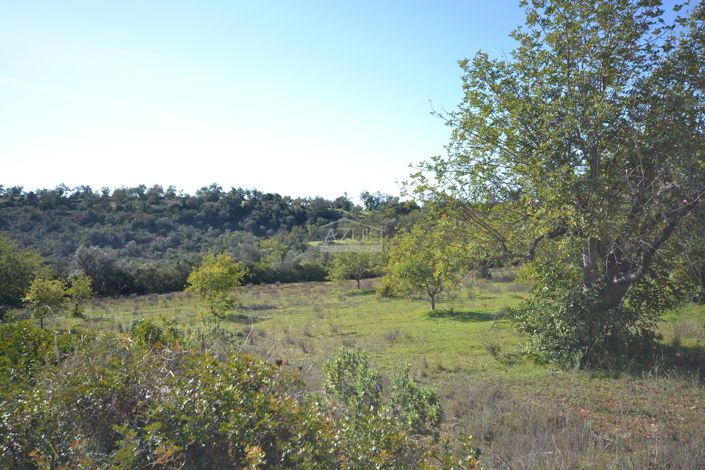 Image No.7-Plot for sale