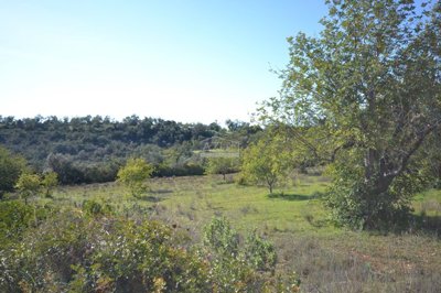 2425-362130-1254606e3c95c5e5ce938638595c7f664