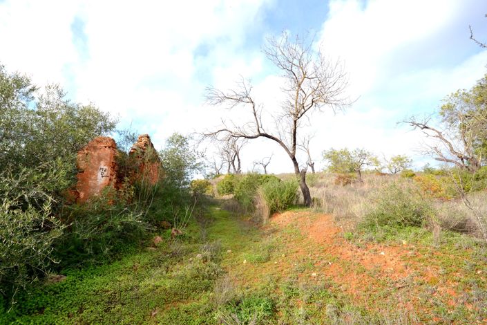 Image No.8-Terrain à vendre à Loule
