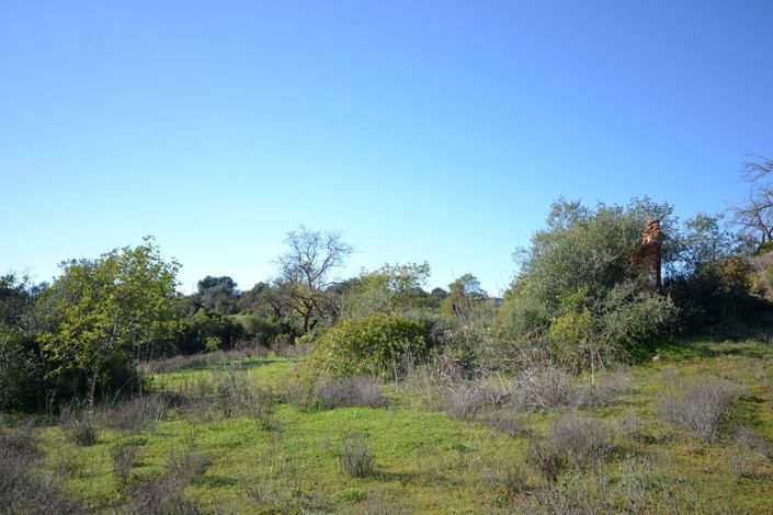 Image No.8-Plot for sale