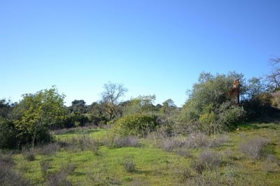 2425-362130-1254606e3c95c5e5ce938638595c7f664