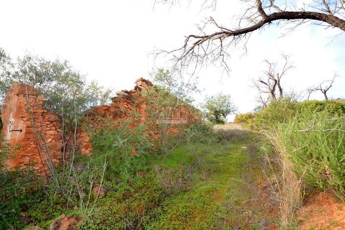 Image No.9-Terrain à vendre à Loule