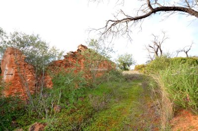 2425-362130-1254606e3c95c5e5ce938638595c7f664