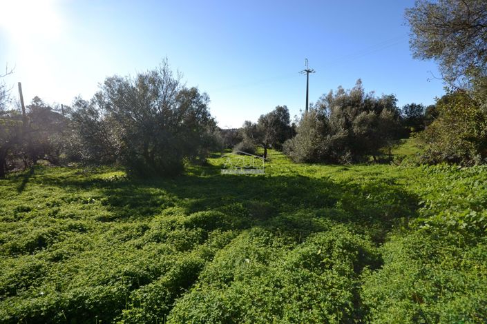 Image No.15-3 Bed Villa for sale