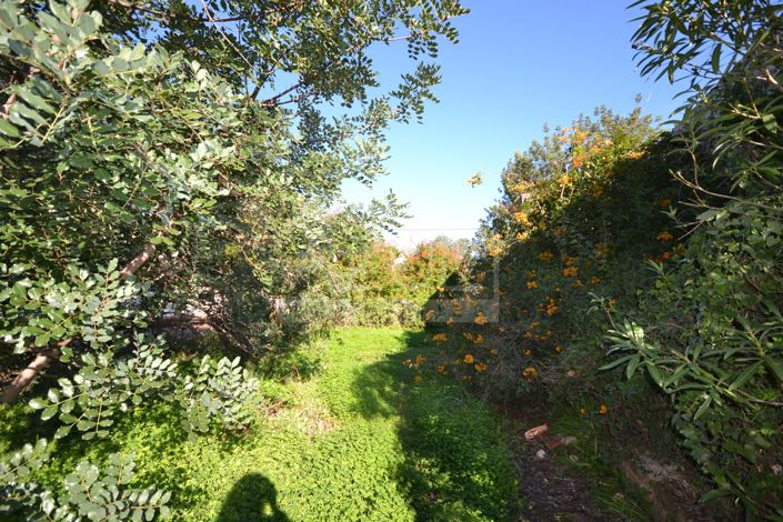 Image No.19-3 Bed Villa for sale