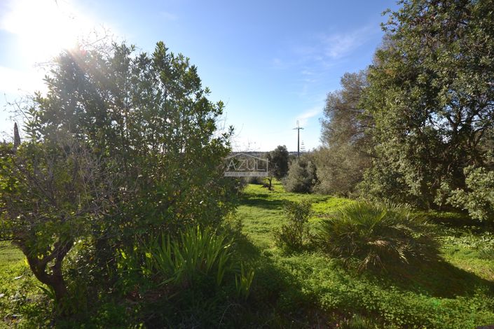 Image No.4-Villa de 3 chambres à vendre à Loule