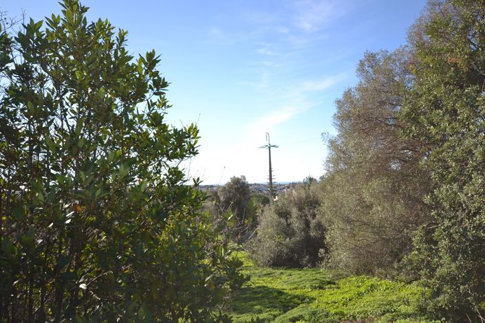 Image No.6-Villa de 3 chambres à vendre à Loule