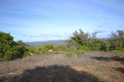 2425-361694-1254606e3c95c5e5ce938638595c7f664