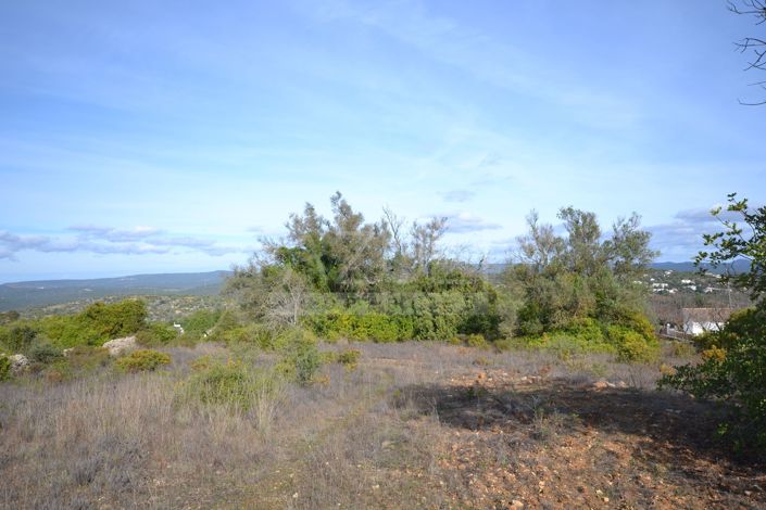 Image No.2-Terre à vendre à Loule