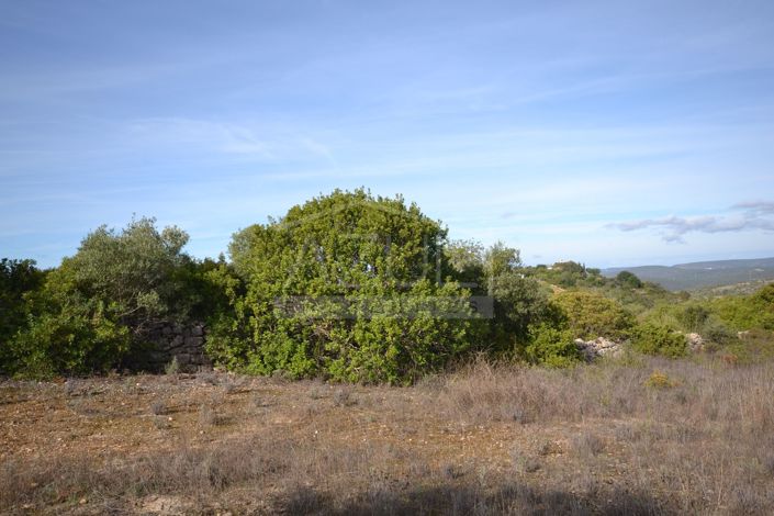 Image No.3-Terre à vendre à Loule