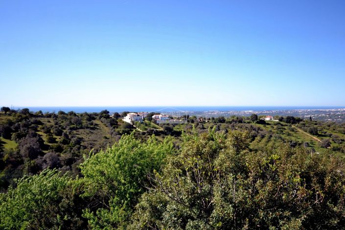 Image No.2-4 Bed Plot for sale