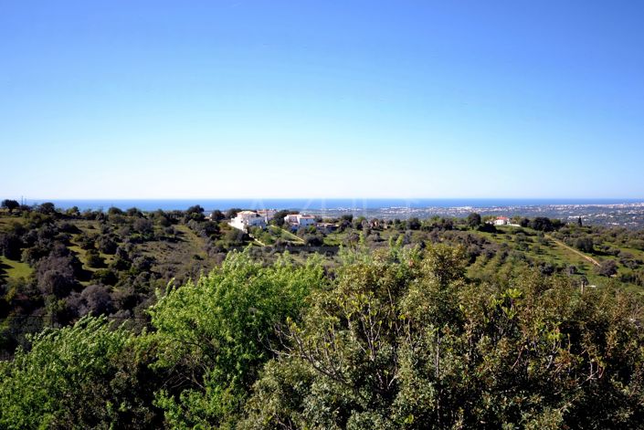 Image No.2-4 Bed Plot for sale