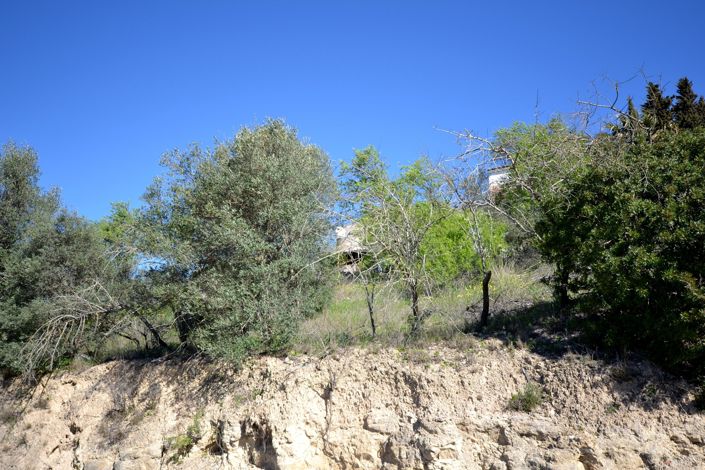 Image No.32-4 Bed Plot for sale