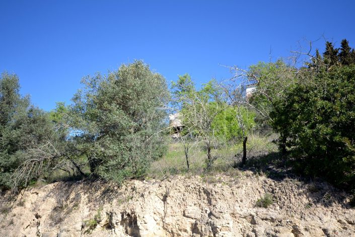 Image No.32-4 Bed Plot for sale