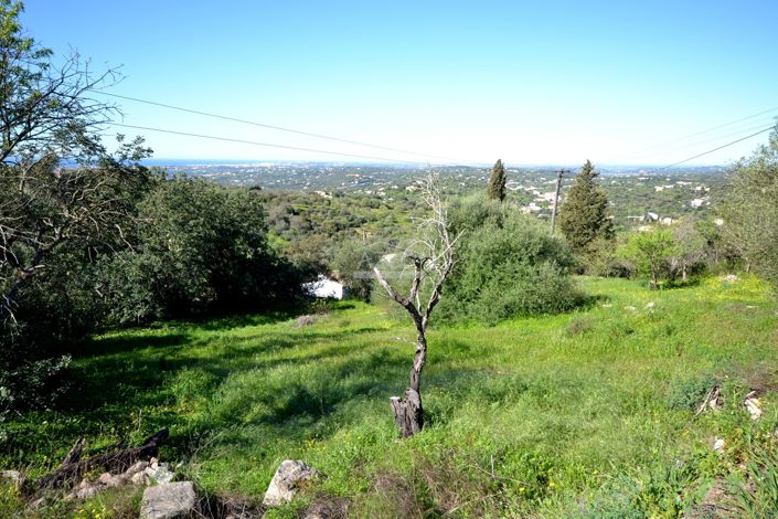 Image No.5-4 Bed Plot for sale