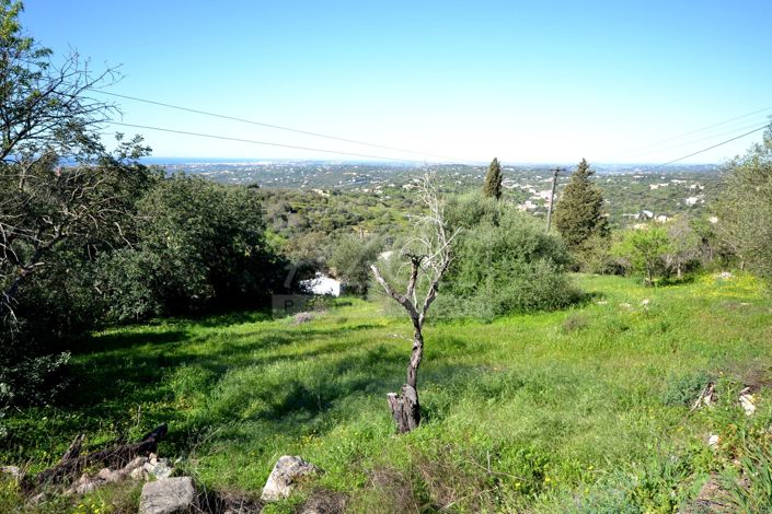 Image No.5-4 Bed Plot for sale