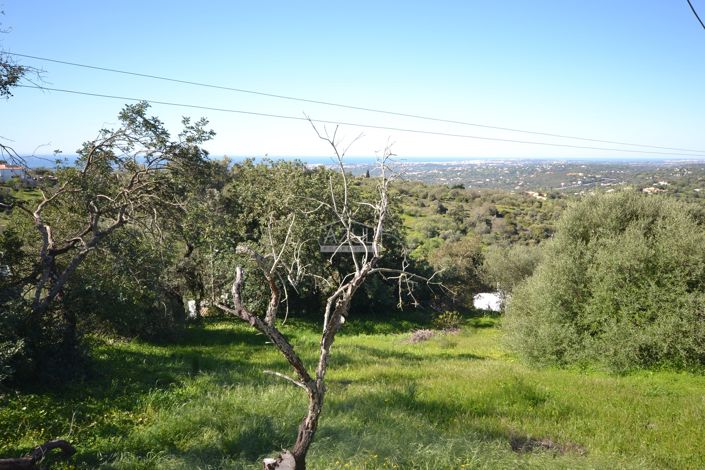 Image No.6-4 Bed Plot for sale