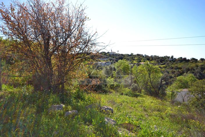 Image No.7-4 Bed Plot for sale