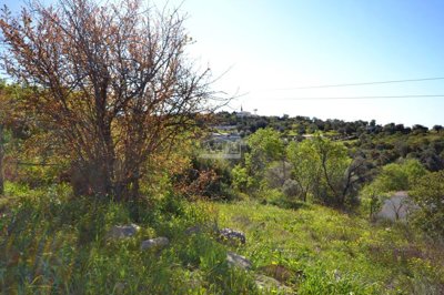 2425-367684-1254606e3c95c5e5ce938638595c7f664