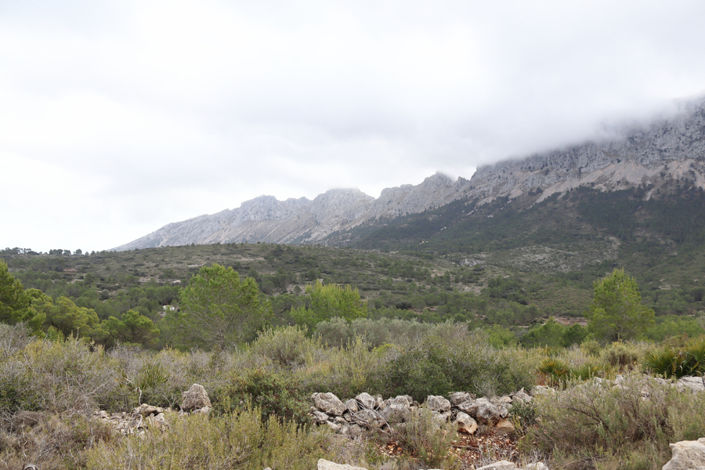 Image No.15-Plot for sale