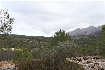 5824-plot-land-for-sale-in-jalon-58386-large