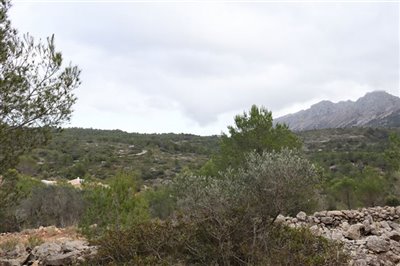 5824-plot-land-for-sale-in-jalon-58387-large