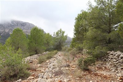 5824-plot-land-for-sale-in-jalon-58388-large