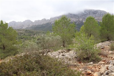 5824-plot-land-for-sale-in-jalon-58389-large