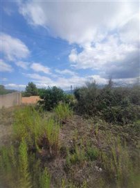 8645-plot-for-sale-in-alcalali-103911-large